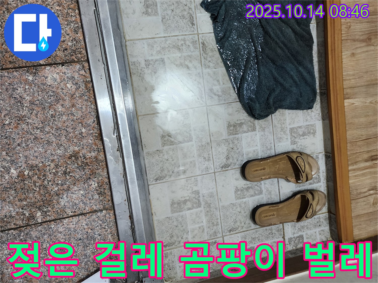 양주시 남면 누수 - 현관 앞 젖은 걸레에 곰팡이 냄새와 벌레까지 꼬인다면 누수를 의심해야 합니다.