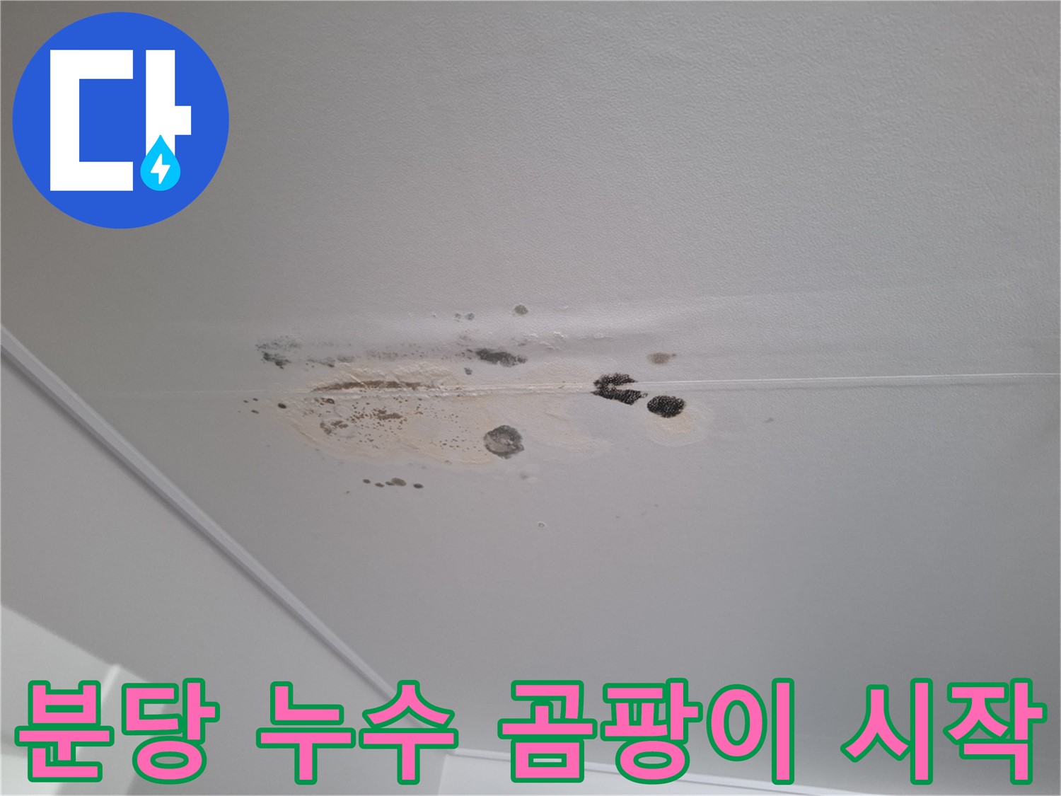 누수 - 곰팡이 시작 단계, 초기 대응 중요!