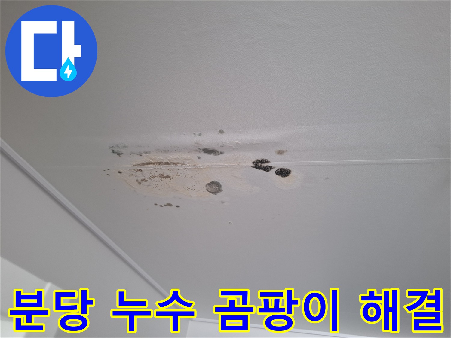 누수 곰팡이 해결 - 쾌적한 공간으로 변신시켜 드립니다