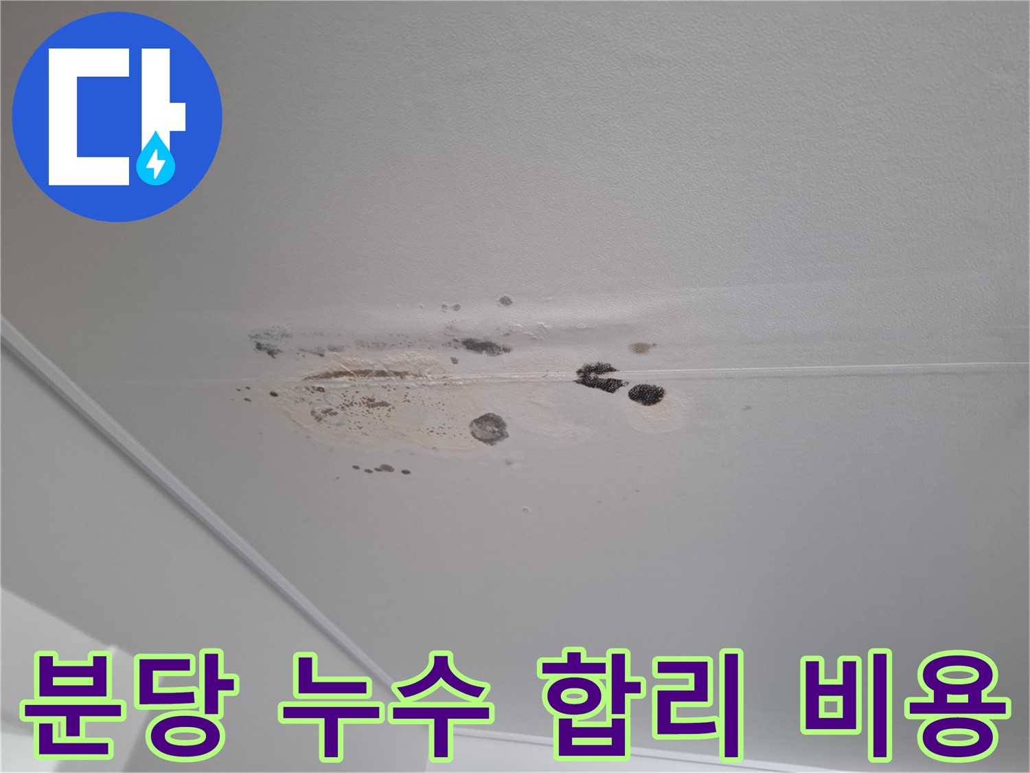 누수 해결 - 꼼꼼한 점검, 합리적인 비용으로 해결