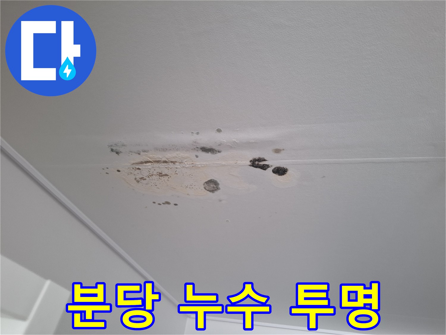 누수 해결 - 친절한 상담, 투명한 견적 제공!
