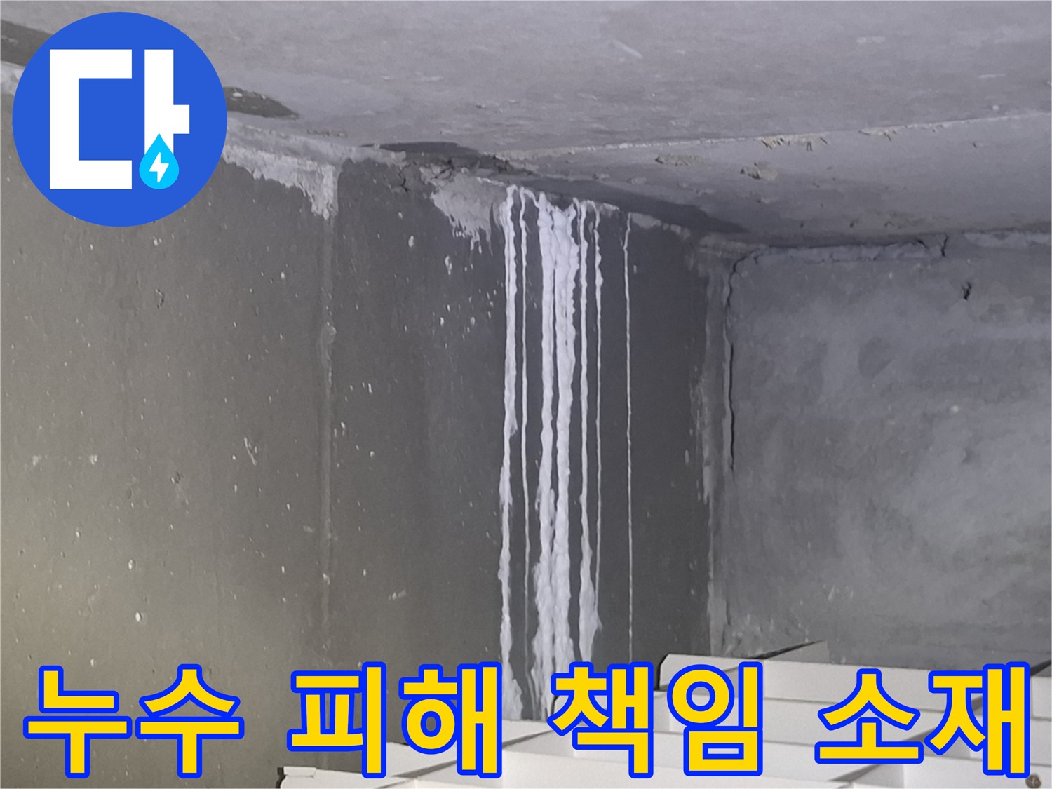 봇들마을 건물 계단 벽 누수 - 책임 소재는 누구에게?