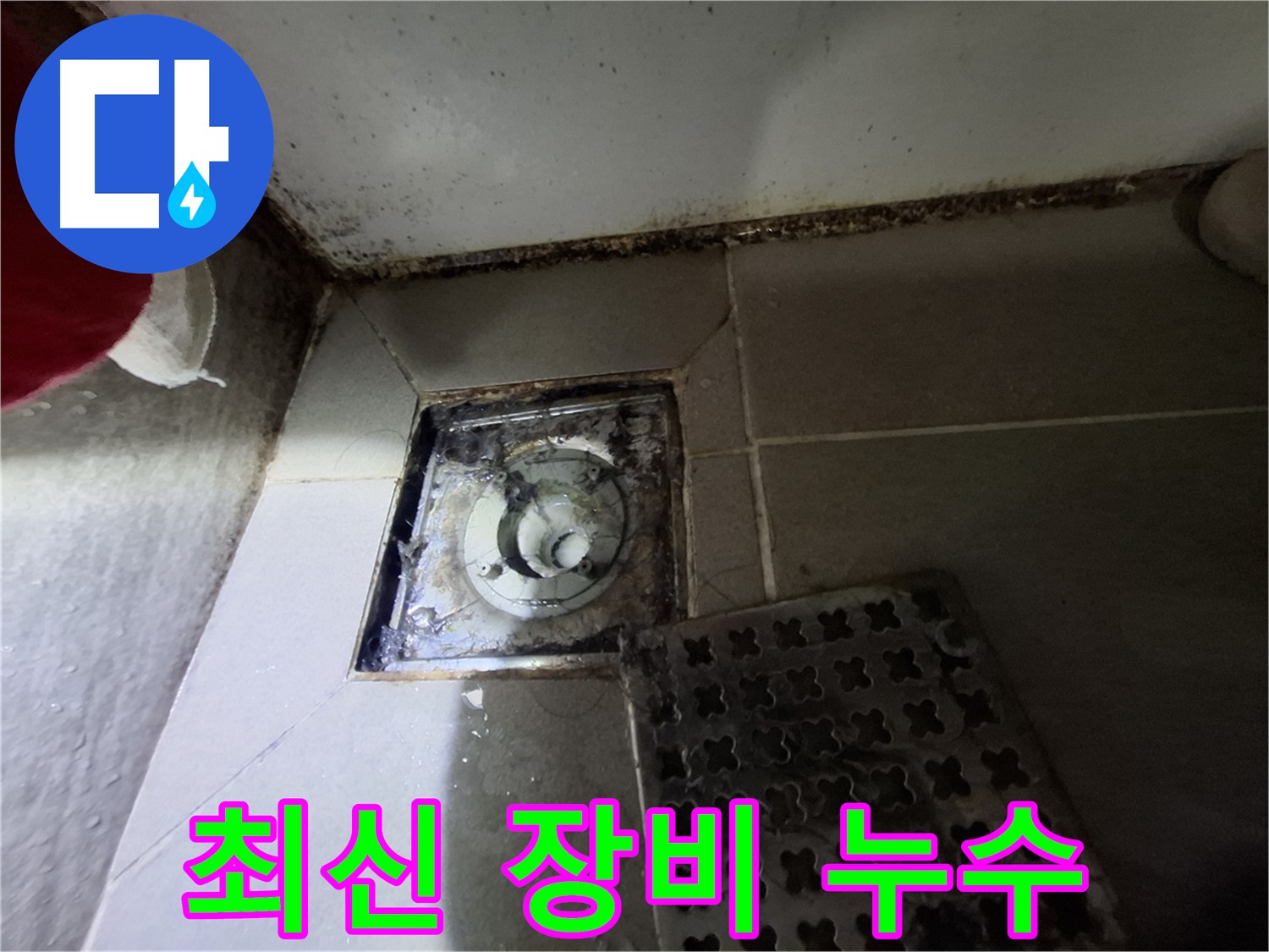 봇들마을 욕실 배수구 누수 - 최신 장비를 사용하여 정확하게 진단