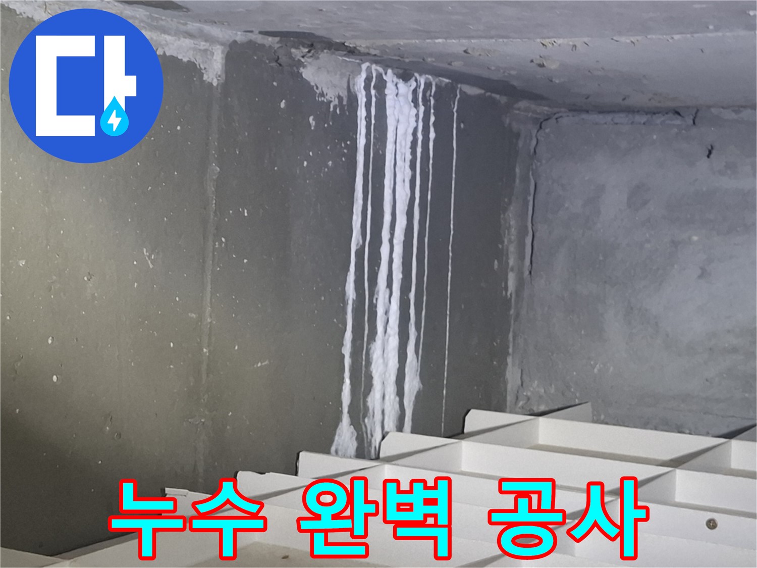 봇들마을2단지 누수 탐지 및 완벽 공사 - 누수 문제 해결의 모든 것