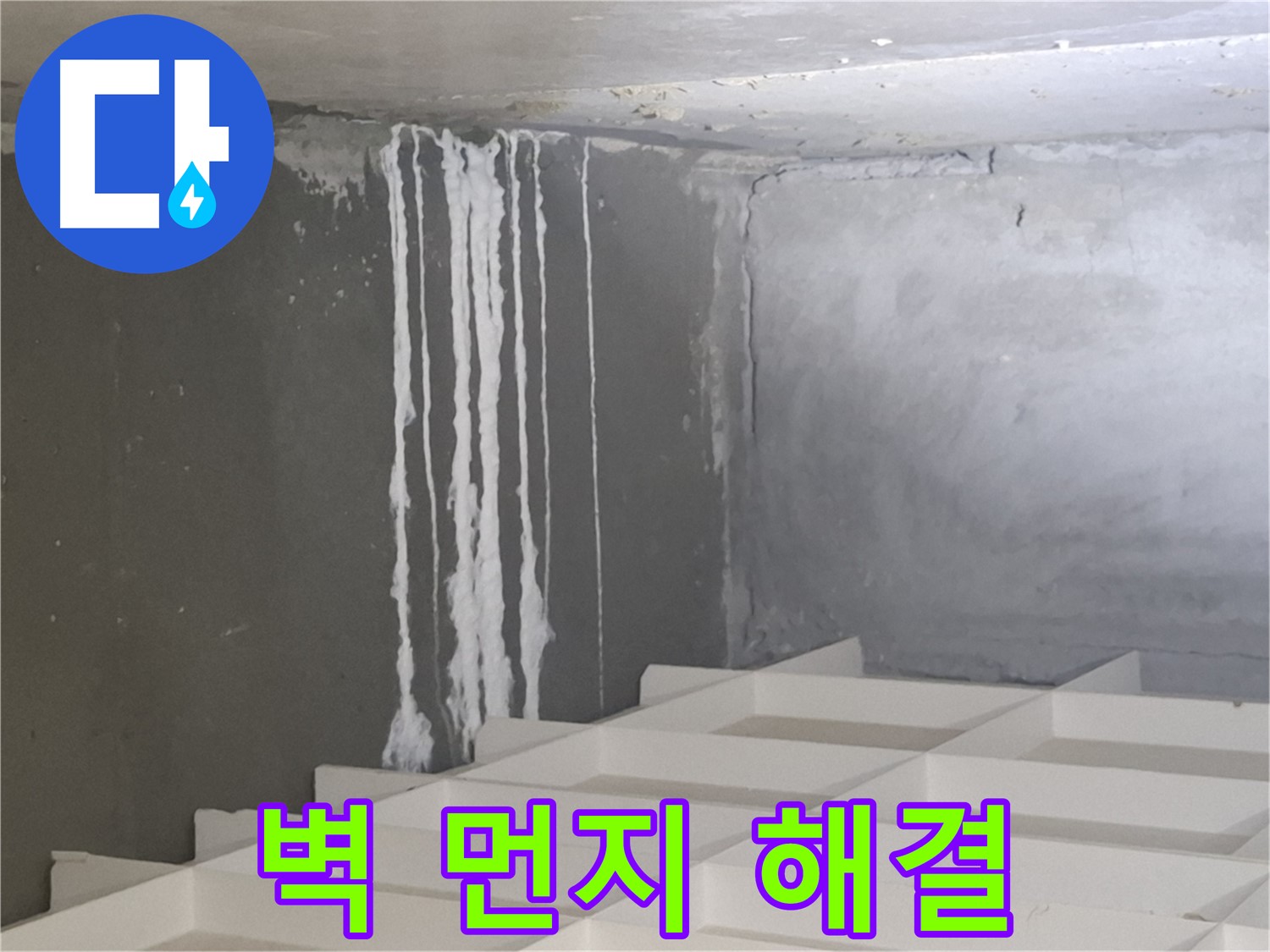 분당 누수 - 삼평동 아파트 벽에 맺힌 하얀 먼지 문제, 진단부터 시공까지 원스톱 솔루션 제공