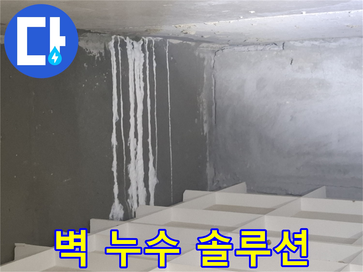 분당 누수 - 삼평동 아파트 콘크리트 벽 누수 문제, 진단부터 시공까지 원스톱 솔루션 제공
