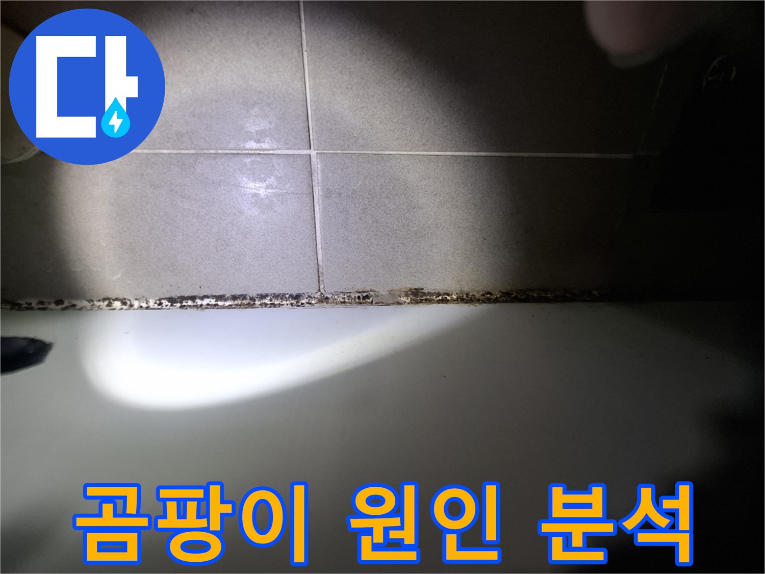 욕조 곰팡이 - 곰팡이 원인 정밀 분석 및 맞춤 해결