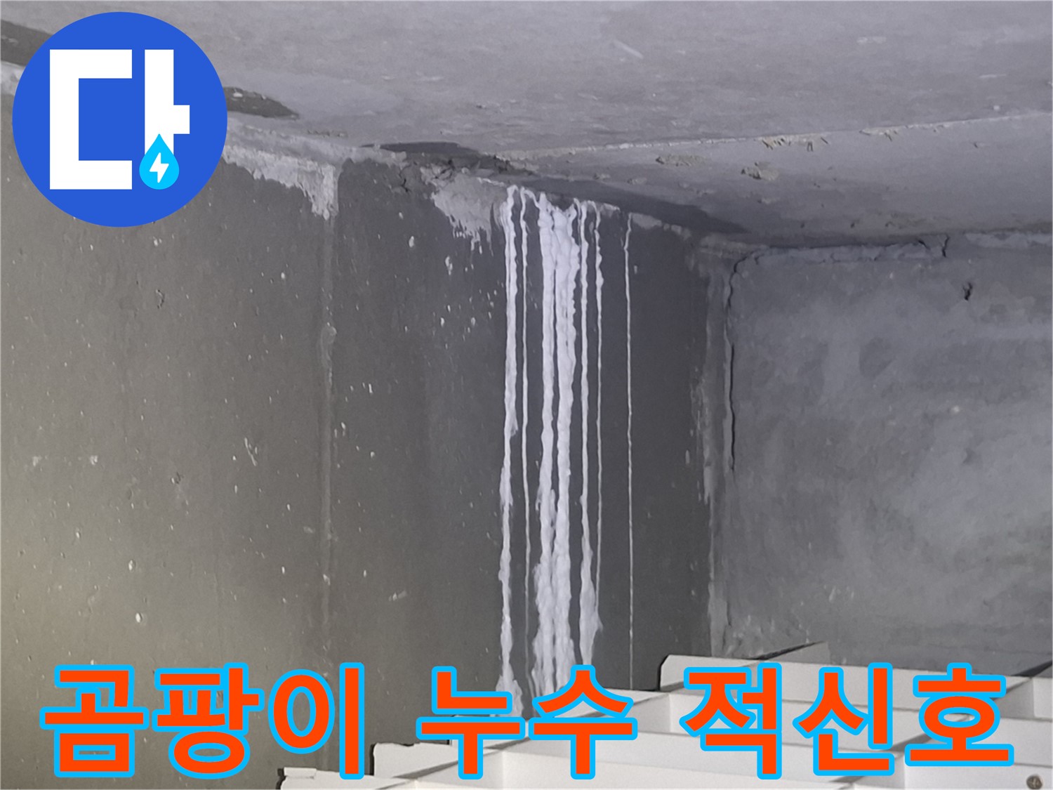 분당 봇들마을 건물 벽 누수 - 곰팡이로 건강 위협