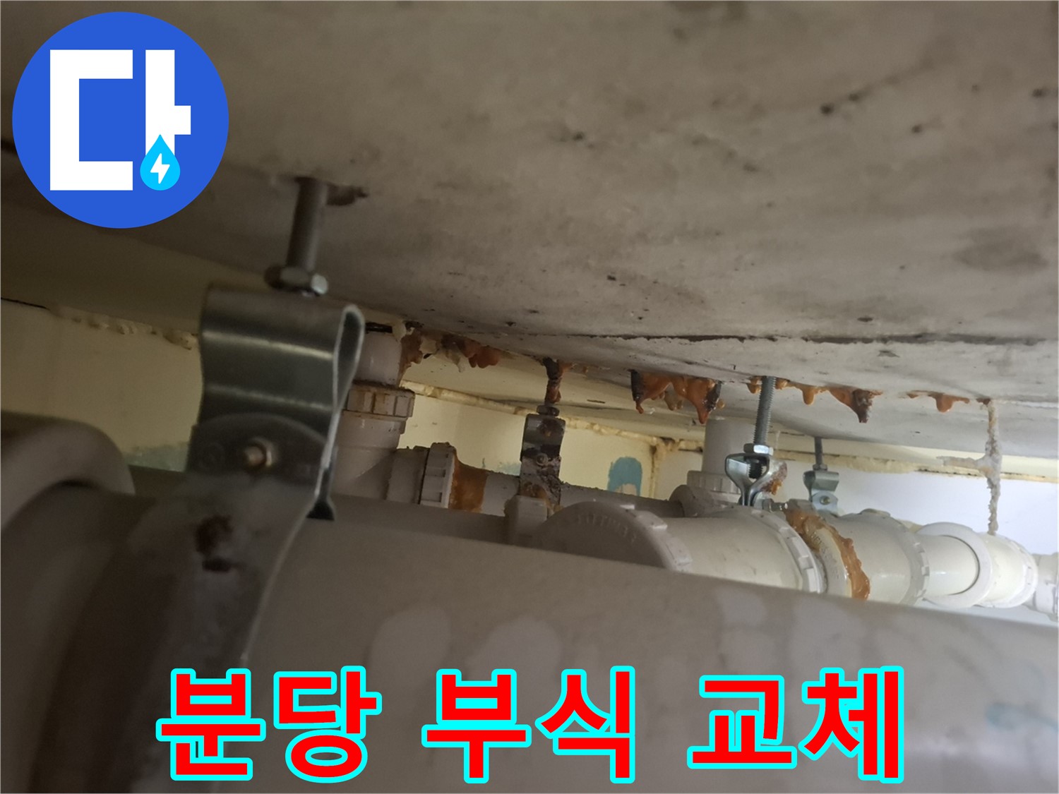 분당 봇들마을 아파트 - 배관 상태 점검, 부식 심각, 배관 교체 결정
