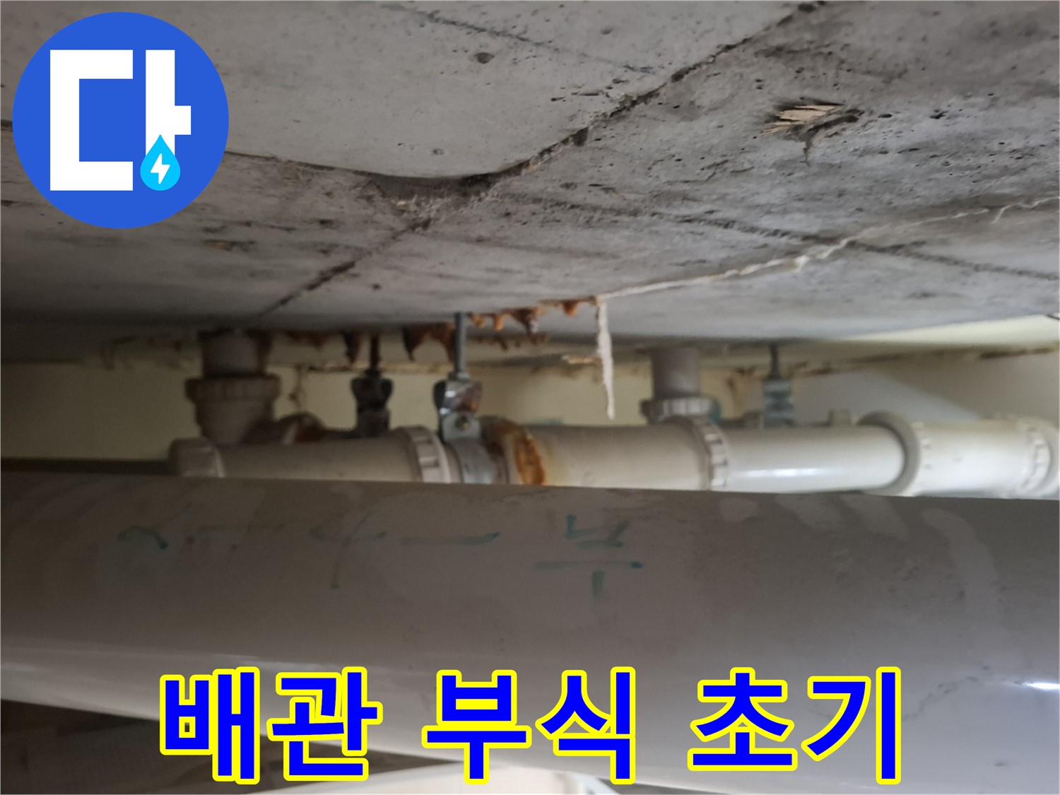 분당 봇들마을 아파트 - 점검구 배관 부식으로 인한 누수 초기 발견