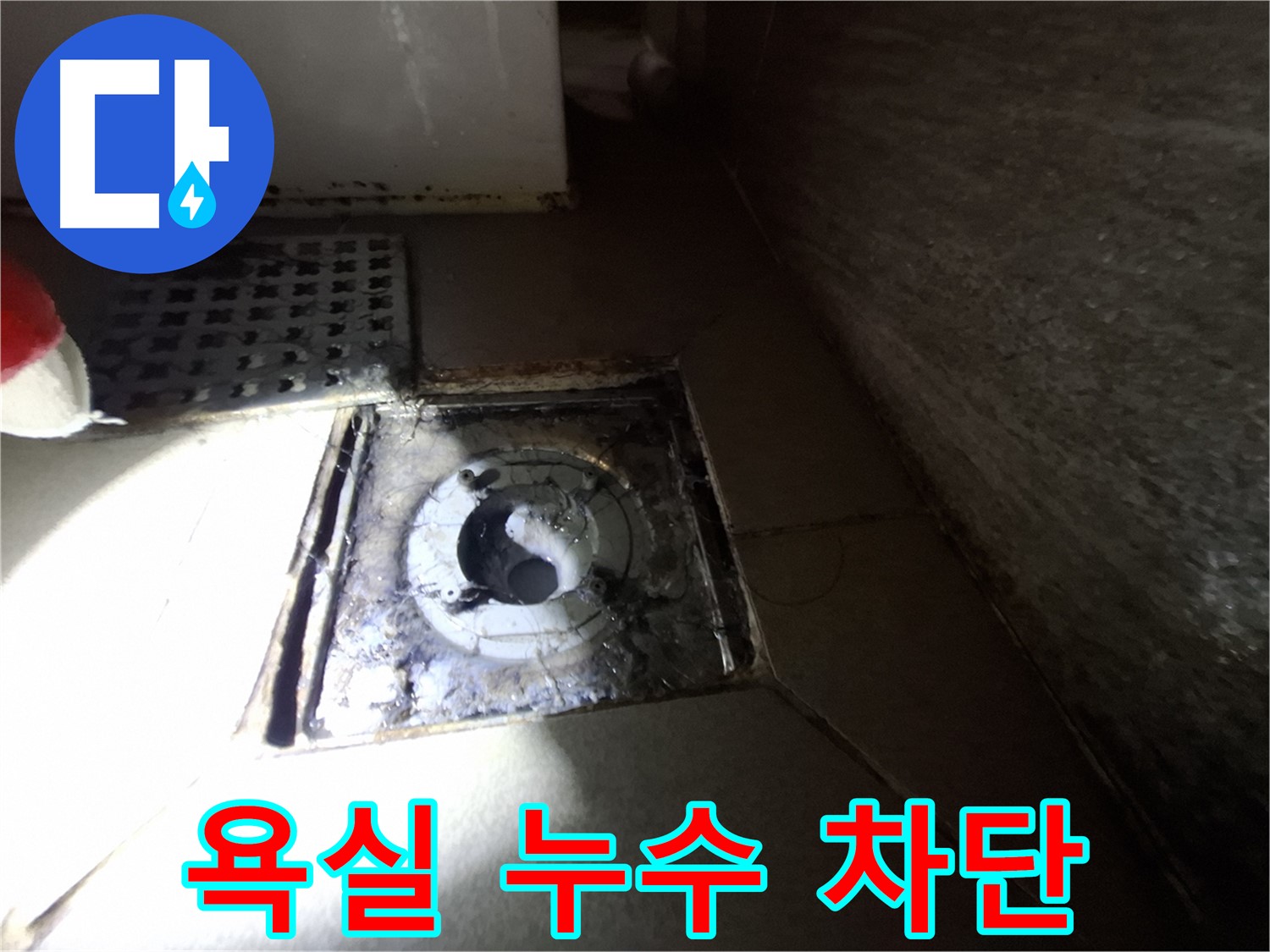 분당 봇들마을 욕실 누수 - 완벽한 누수 차단으로 쾌적한 욕실 환경 조성!