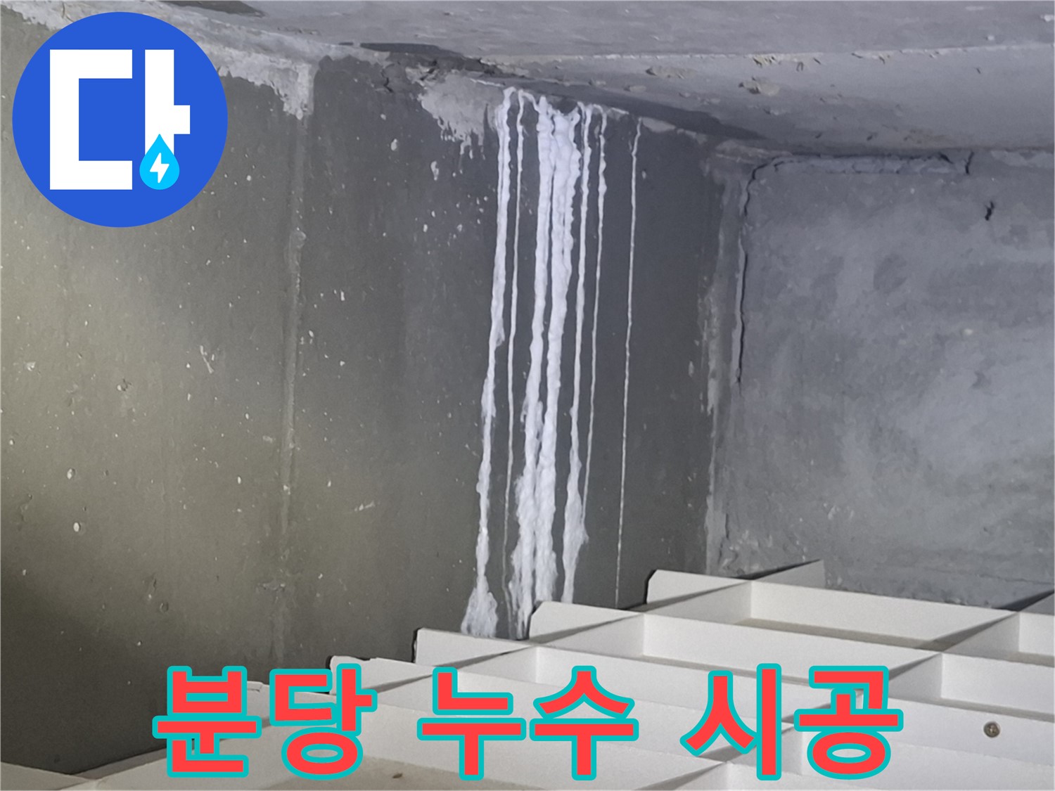 분당 봇들마을2단지 아파트 누수 - 누수 전문가의 완벽한 시공 과정