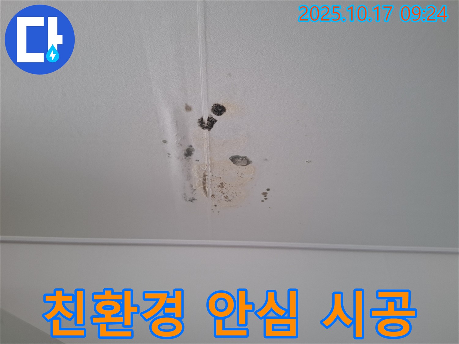 분당 봇들마을2단지 아파트 천장 누수 - 곰팡이 제거 후 친환경 시공으로 안심