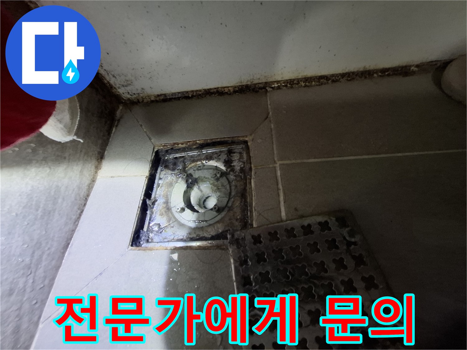 분당 봇들마을2단지 욕실 - 곰팡이, 누수 초기 증상 의심, 전문가 문의