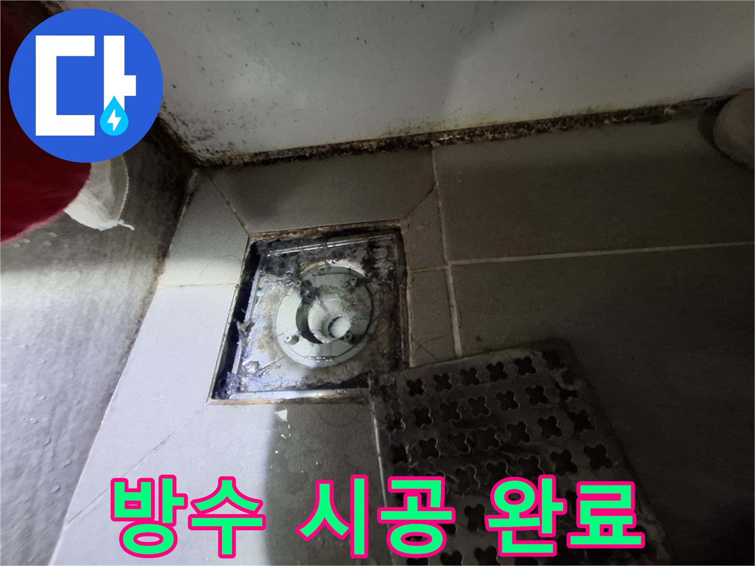 분당 봇들마을2단지 욕실 - 곰팡이 제거 후 완벽한 방수 시공