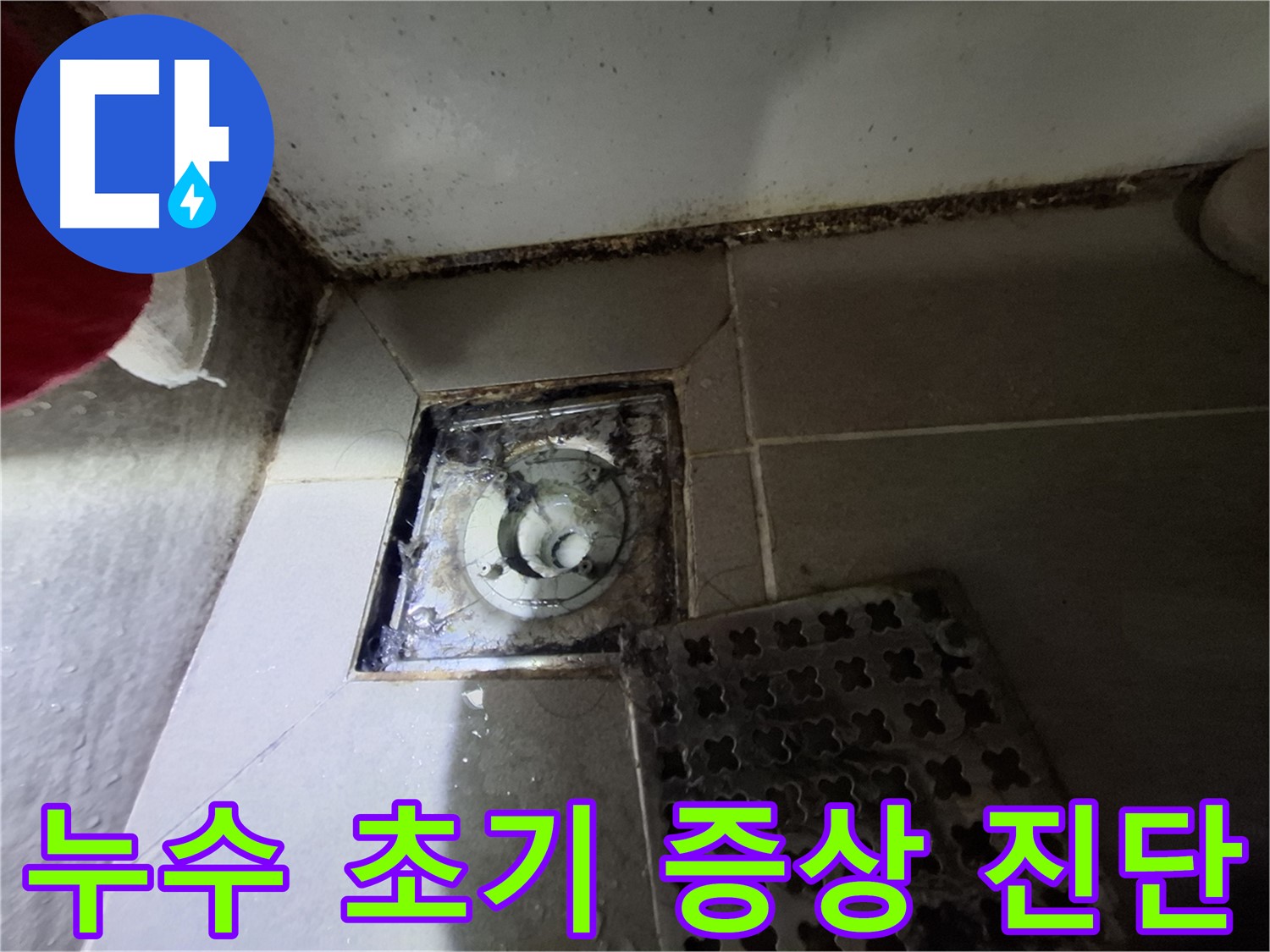분당 봇들마을2단지 욕실 - 배수구 주변 곰팡이, 누수 초기 증상 의심