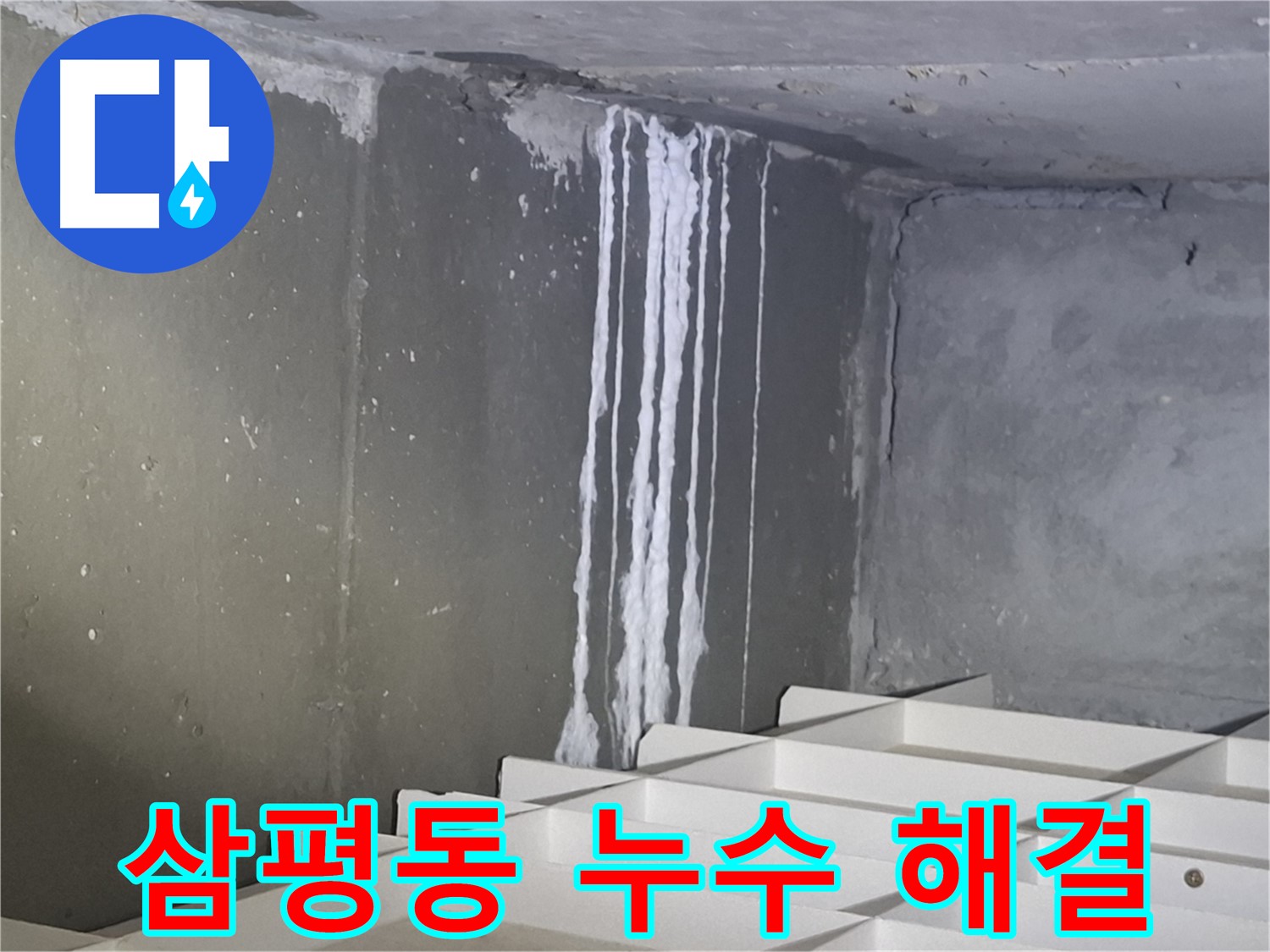 분당 삼평동 봇들마을 아파트 누수 해결 - 꼼꼼한 작업으로 완벽하게!