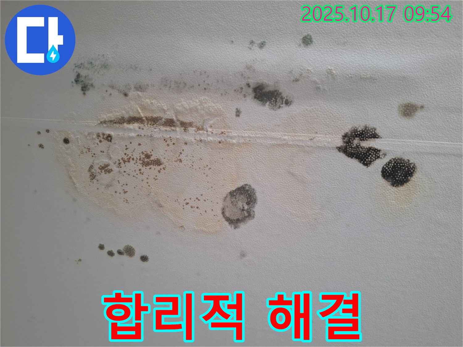 분당 삼평동 봇들마을2단지 아파트 천장 누수 - 곰팡이 문제, 합리적인 솔루션으로 해결
