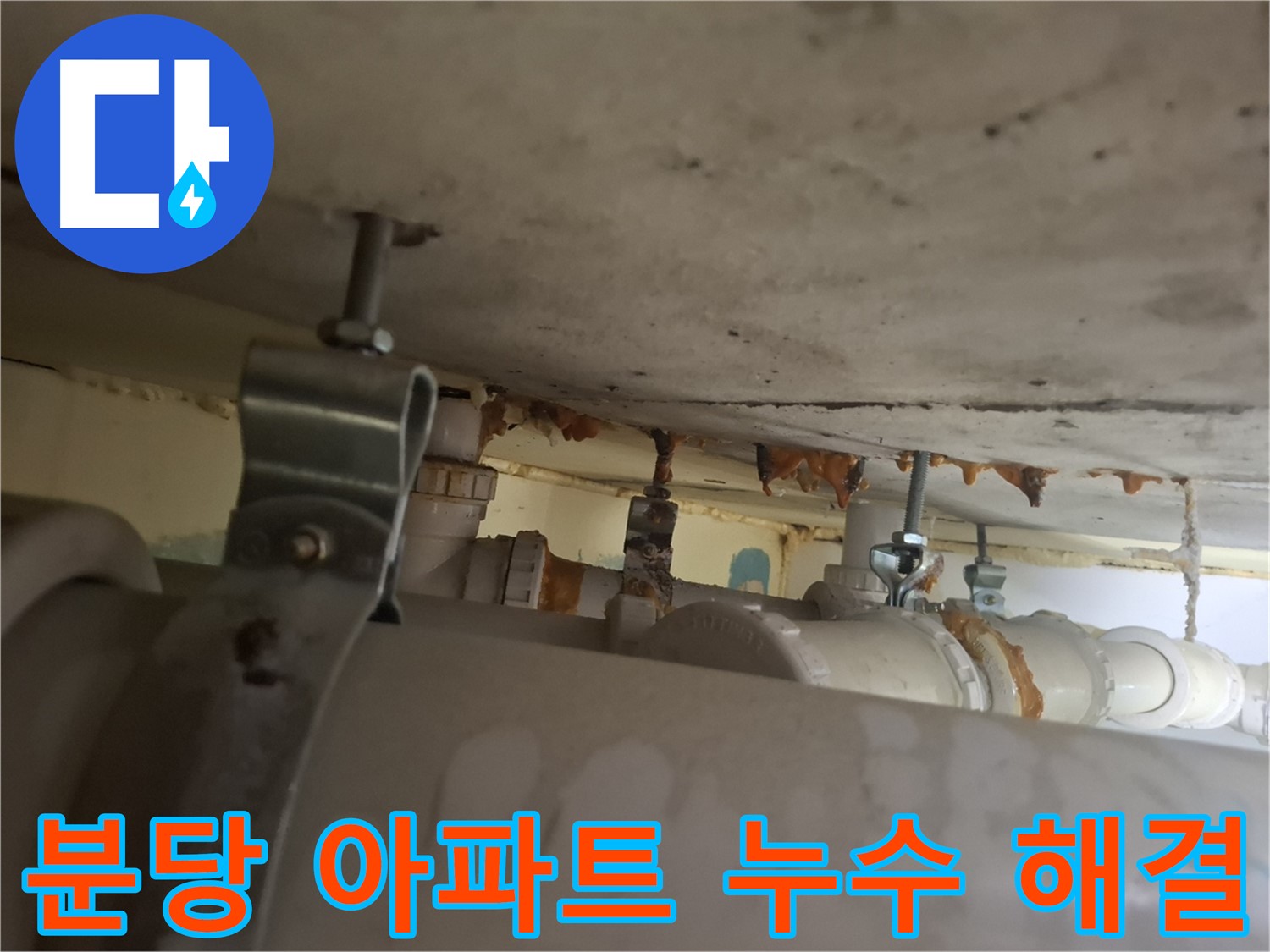 분당 아파트 누수 해결 과정 - 누수 전문가가 꼼꼼하게 탐지하고 완벽하게 공사합니다.