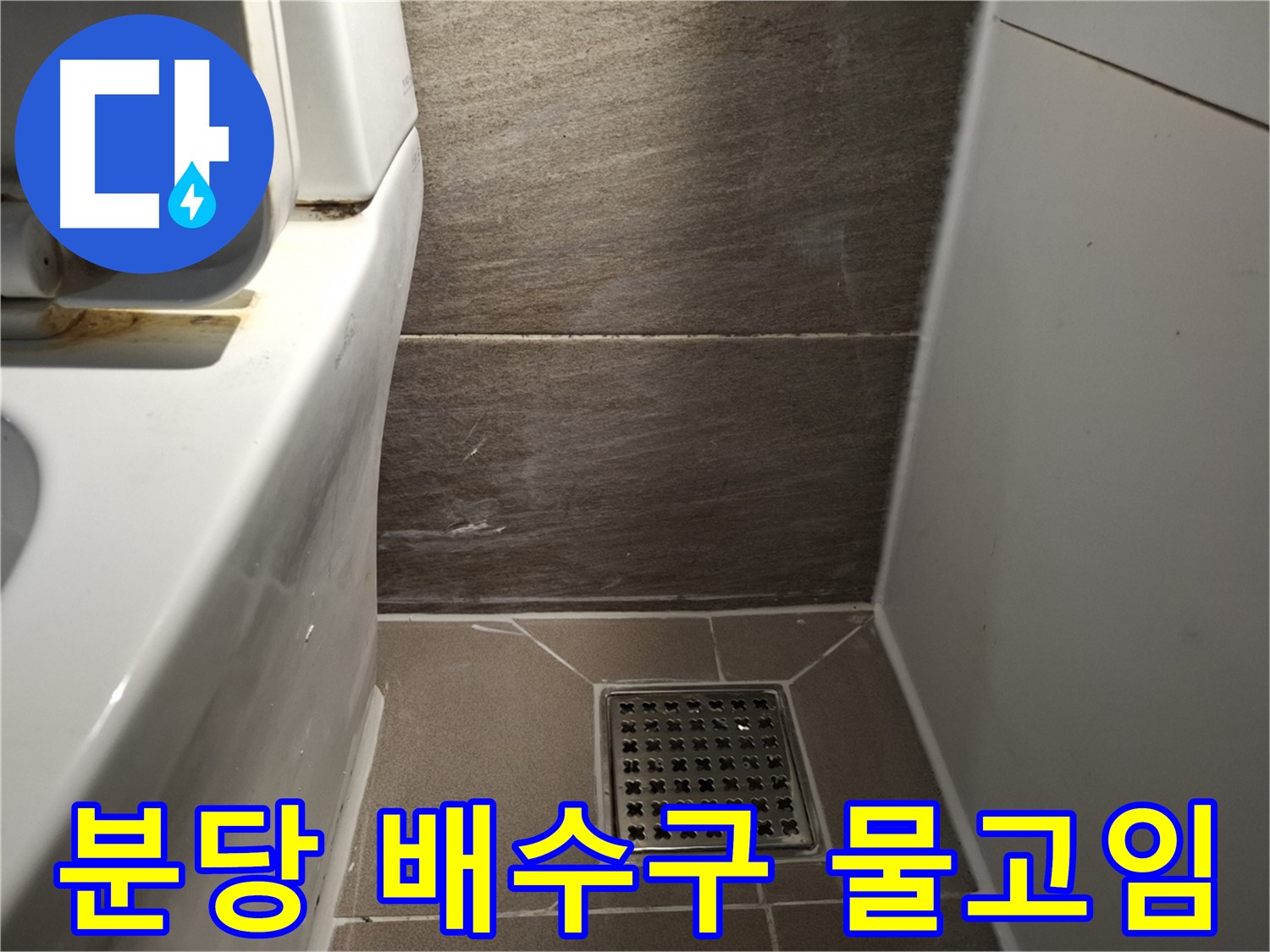 분당 화장실 배수구 주변 물고임 - 누수 신호?