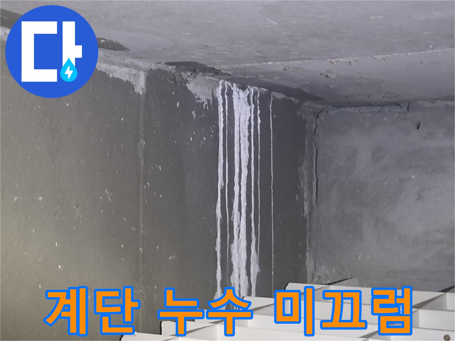 분당구 봇들마을 계단 누수 - 겨울철 미끄럼 사고 위험