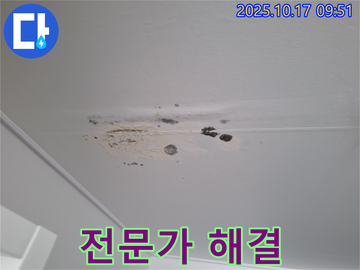 분당구 삼평동 누수 - 곰팡이 얼룩 심한 천장 - 봇들마을 누수 전문가가 해결