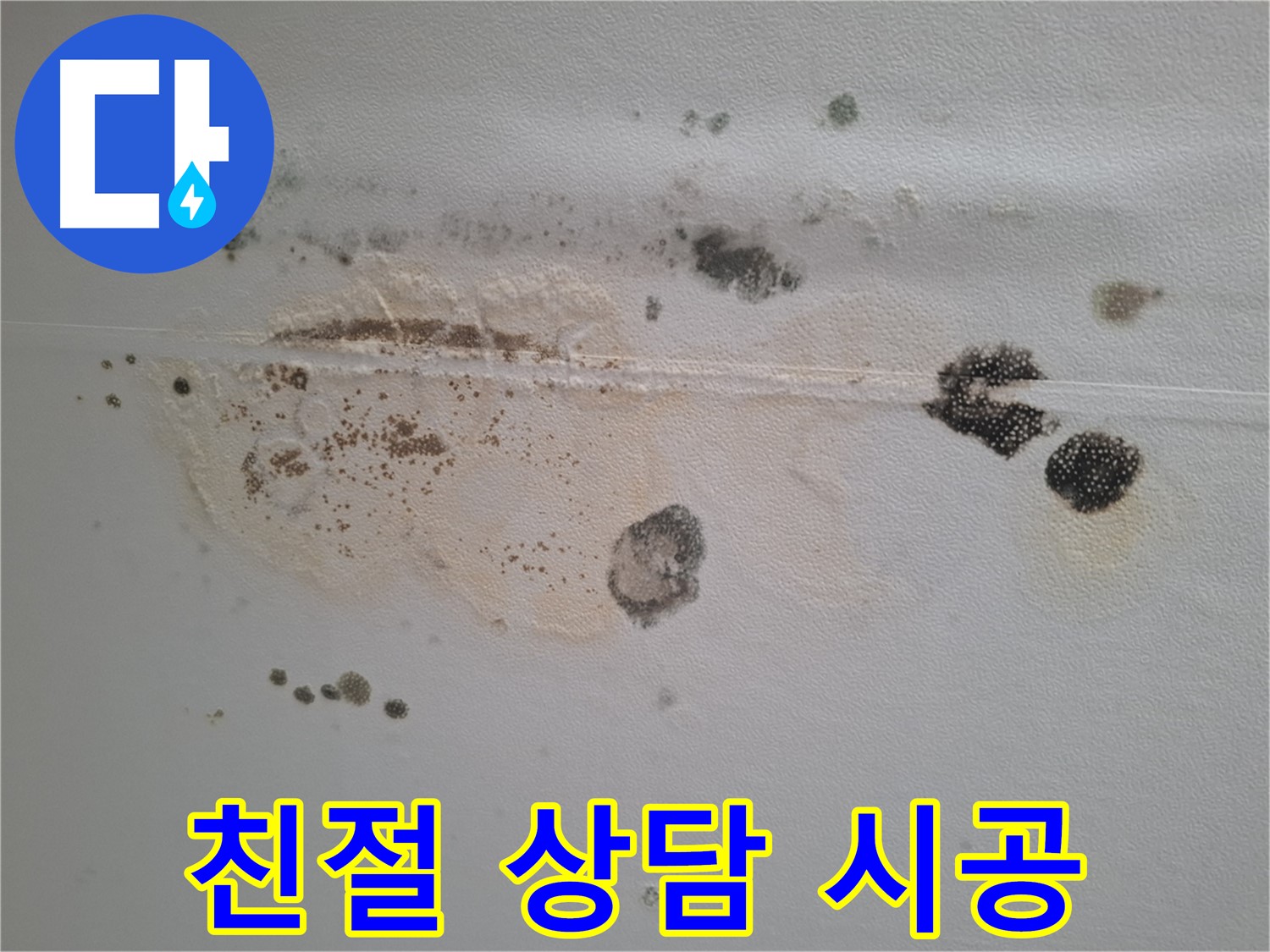 분당구 삼평동 누수 - 곰팡이 핀 천장, 친절한 상담과 확실한 시공으로 보답하겠습니다