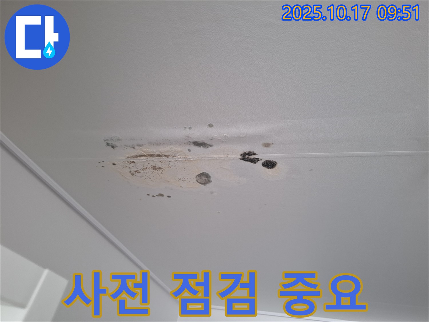 삼평동 누수 - 곰팡이 얼룩 심한 천장 - 누수 발생 전 사전 점검의 중요성 강조