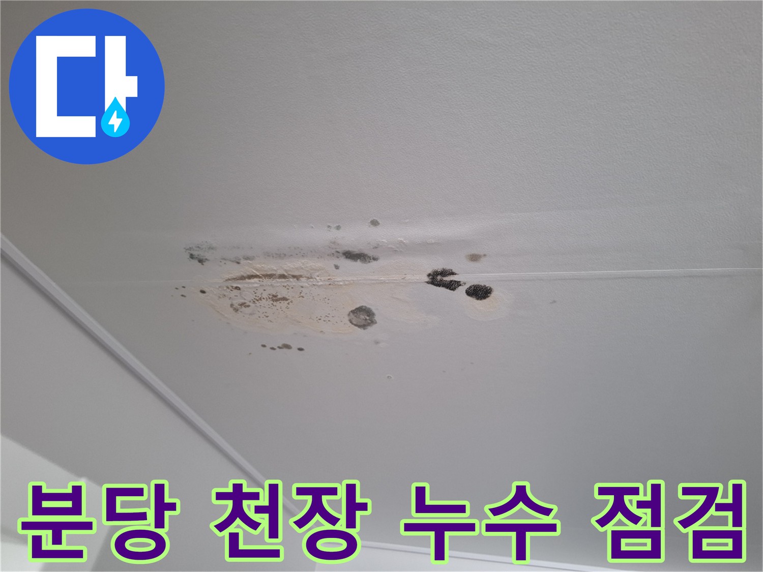 습기 찬 천장과 곰팡이 - 아랫집 누수 피해로 긴급 점검 및 정밀 진단 필요