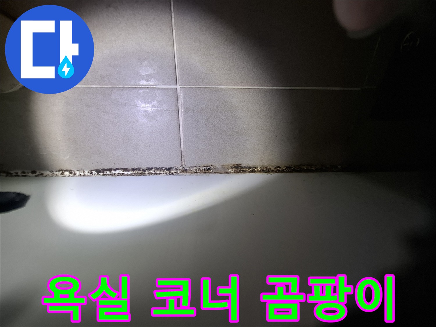 코너 곰팡이 발생 - 타일 실리콘 손상으로 인한 습기 침투 의심