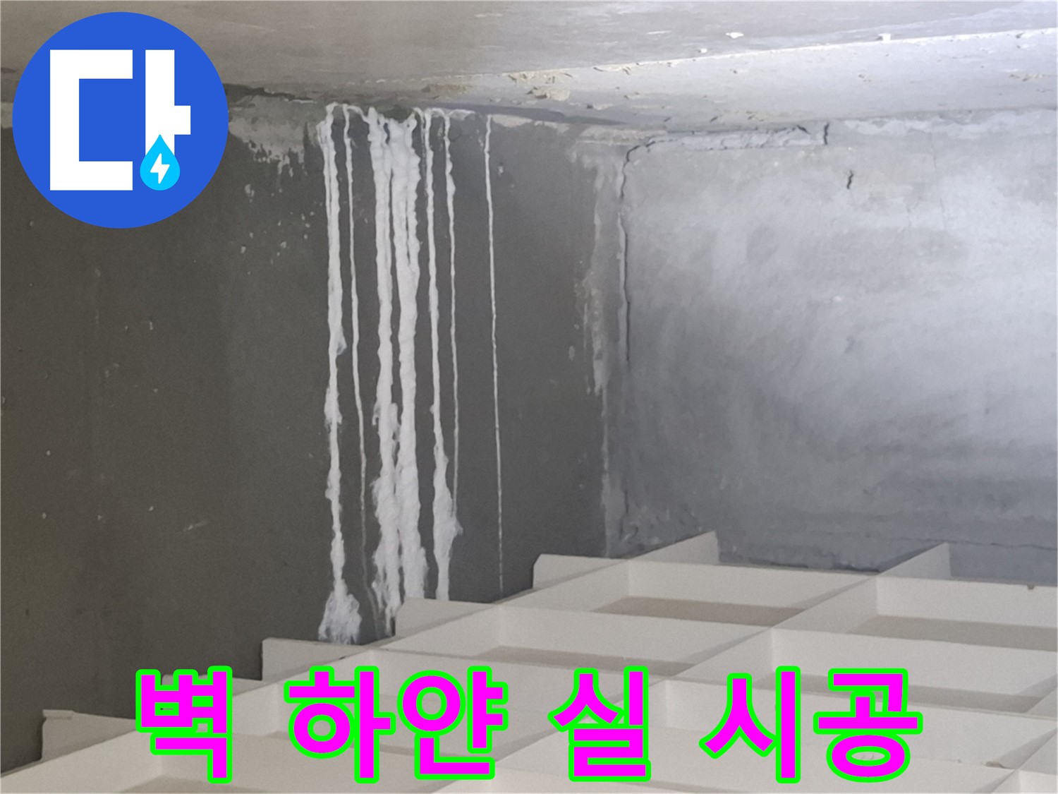 삼평동 아파트 누수 - 벽에 맺힌 하얀 실 문제, 재발 방지를 위한 완벽 시공 노하우 공개