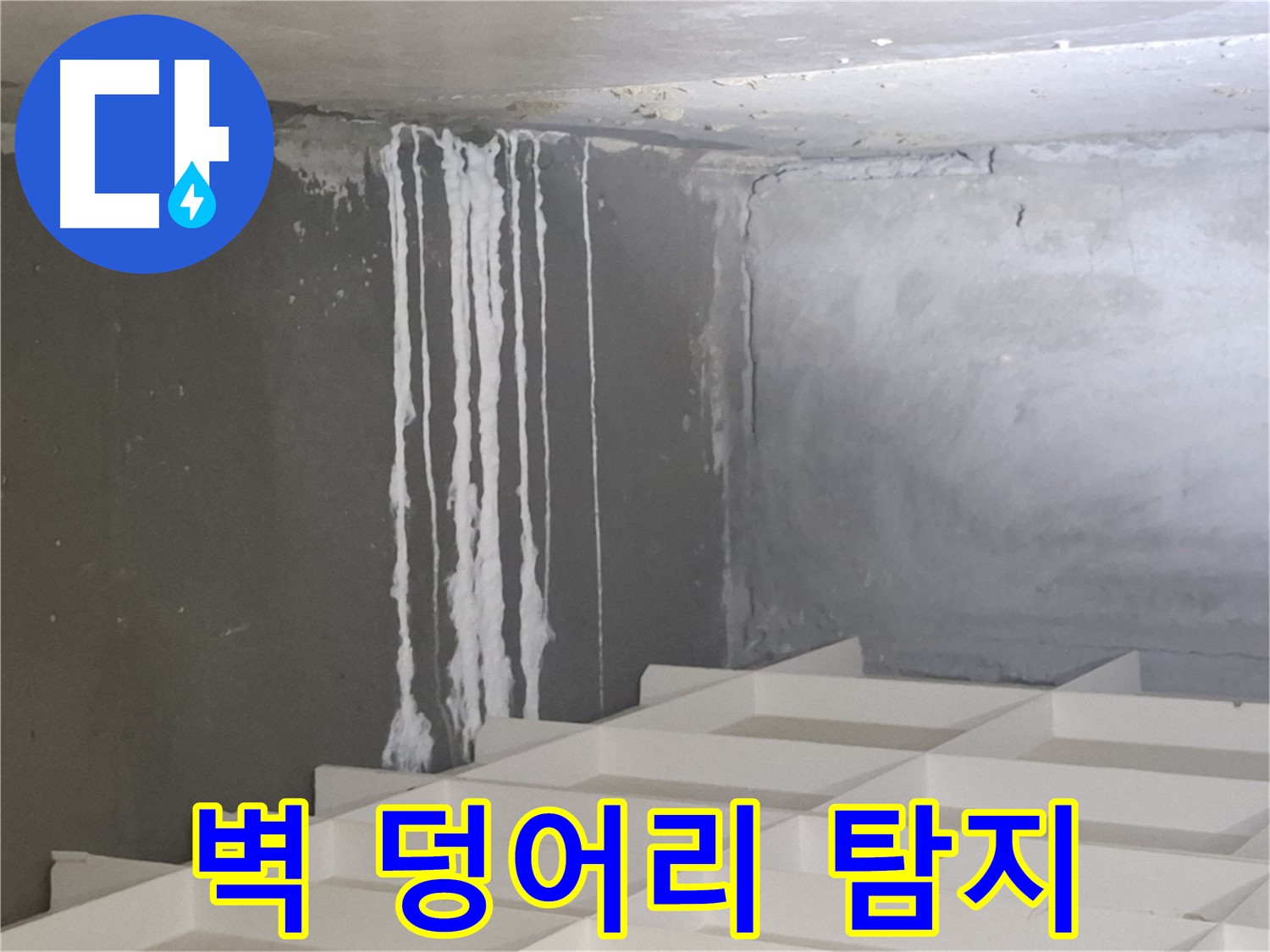 삼평동 아파트 누수탐지 - 벽에 맺힌 하얀 덩어리, 숨겨진 누수 원인 꼼꼼히 찾기