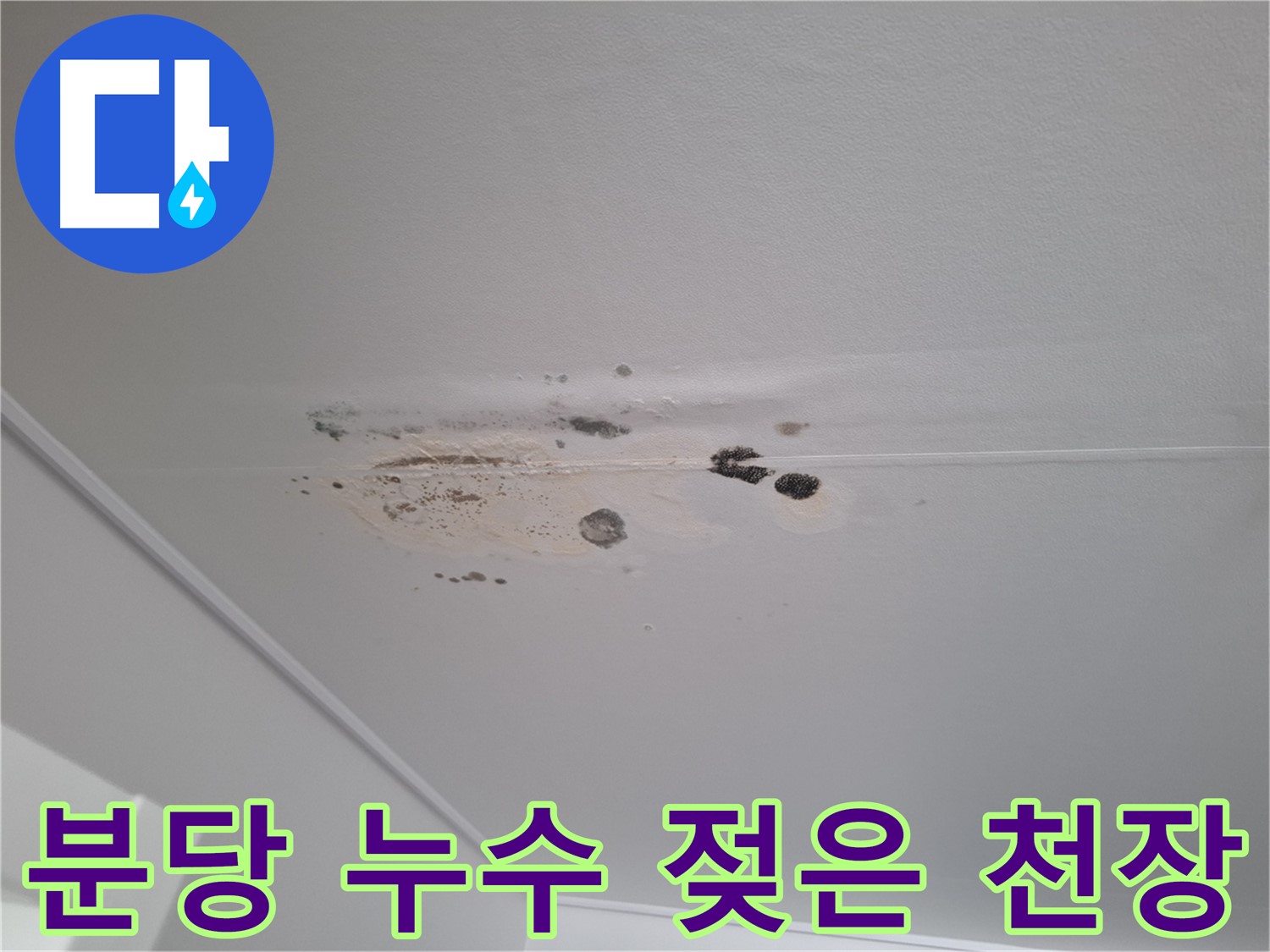 젖은 천장 - 누수 긴급 점검, 빠른 조치가 필요