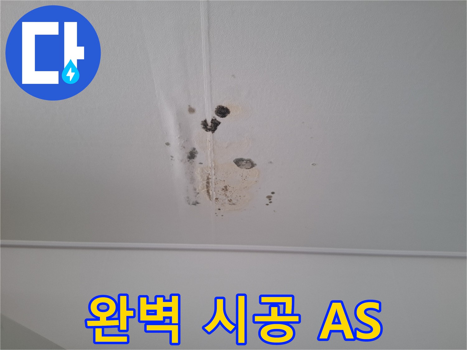 성남 봇들마을 2단지 아파트 - 완벽한 시공과 믿을 수 있는 A/S를 제공하여 누수 걱정을 덜어드립니다.