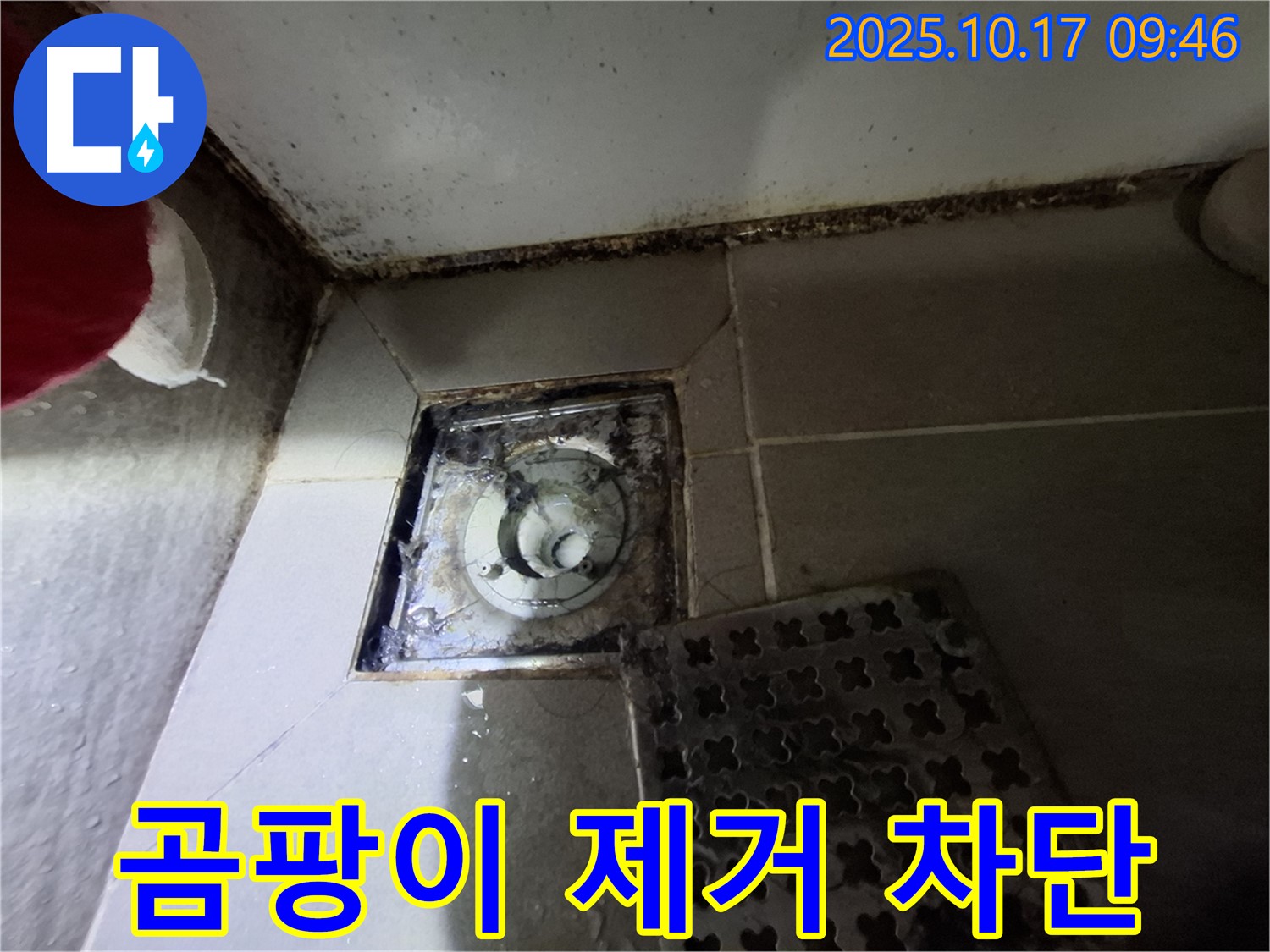 성남 봇들마을 아파트 욕실 배수구 곰팡이 제거 - 누수 완벽 차단 - 책임 시공으로 쾌적한 욕실을 만들어 드립니다.