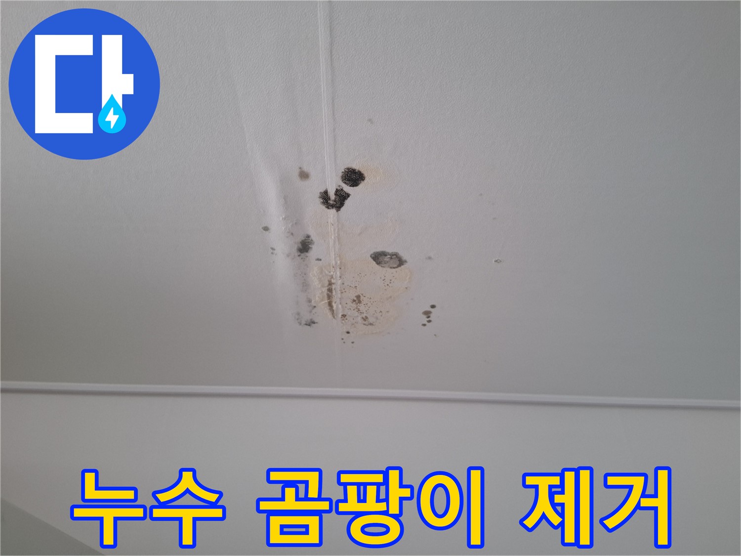 성남 봇들마을 아파트 천장 - 누수와 곰팡이를 완벽하게 제거해 드립니다.