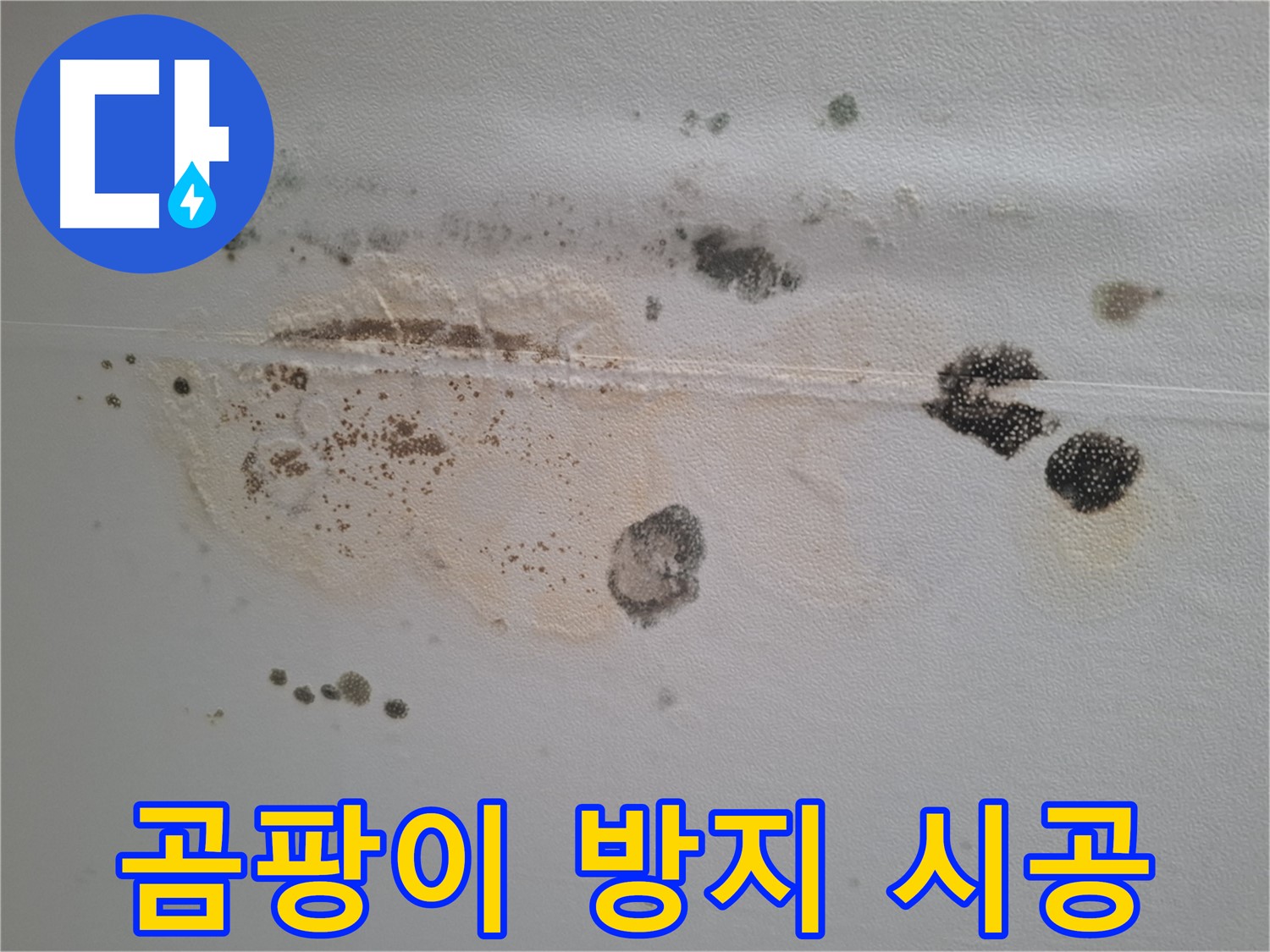 성남 분당 누수 - 곰팡이 방지 시공 전문