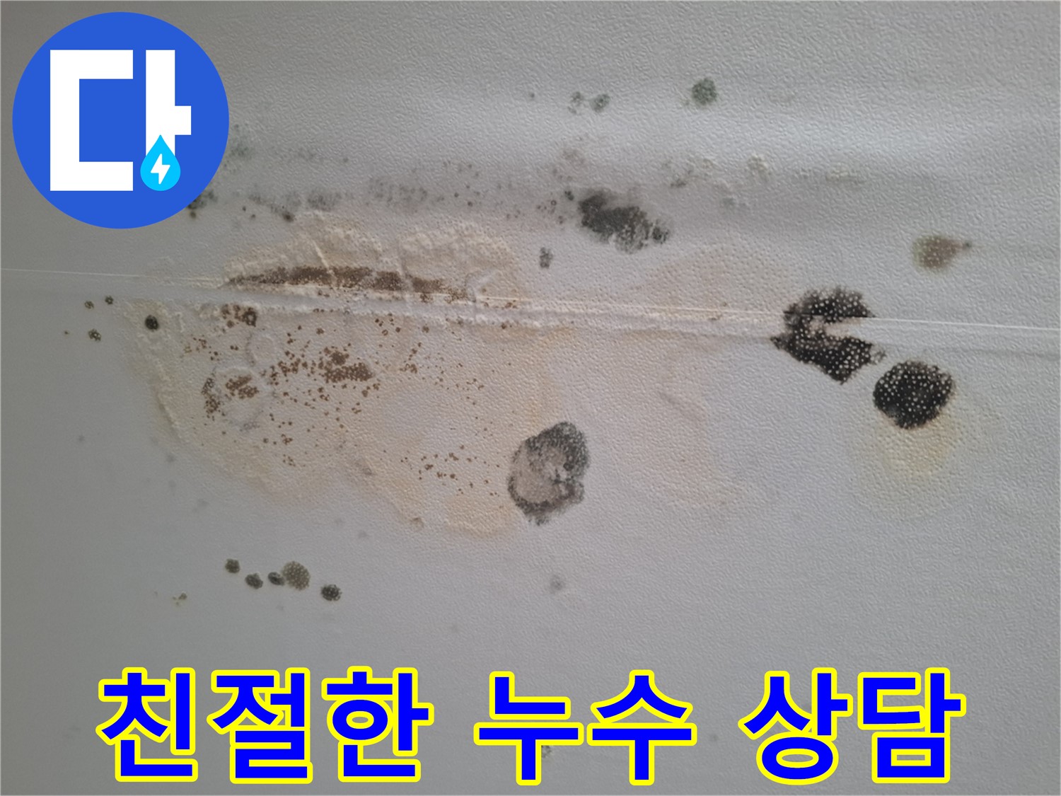 성남 분당 봇들마을 이지더원 누수 - 곰팡이 누수 관련 친절 상담 제공