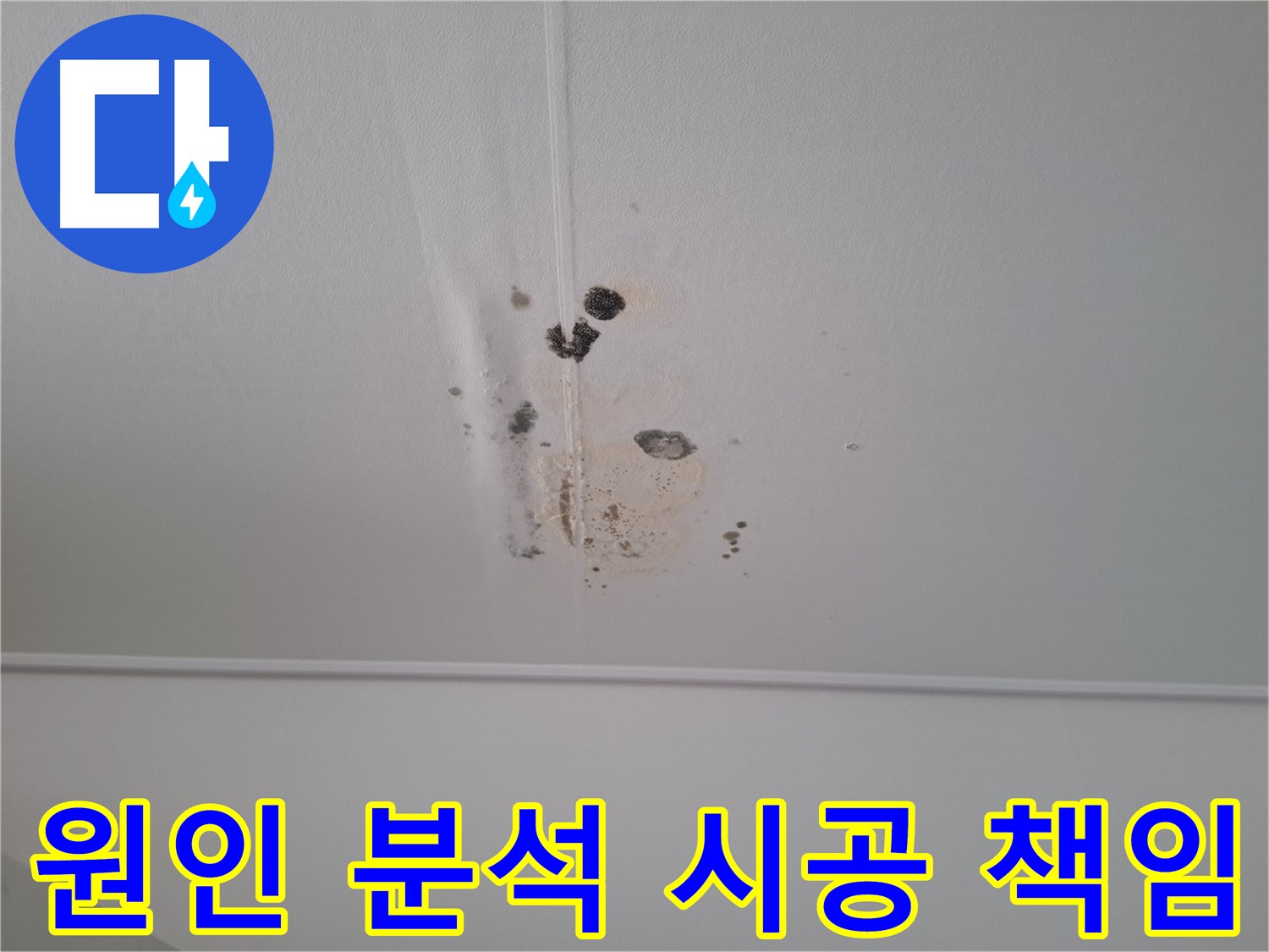 성남 삼평동 봇들마을 아파트 - 누수 원인 분석부터 시공까지 모든 과정을 책임집니다.