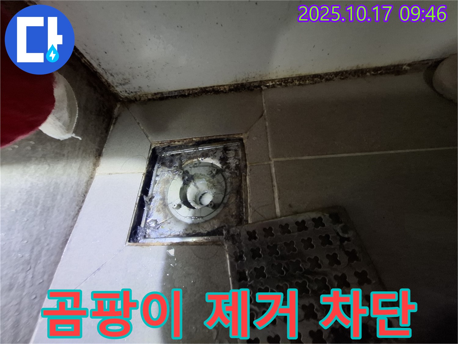성남 판교 봇들마을 아파트 - 욕실 배수구 곰팡이 제거 - 누수 완벽 차단 - 꼼꼼한 시공으로 쾌적한 욕실 환경을 만들어 드립니다.
