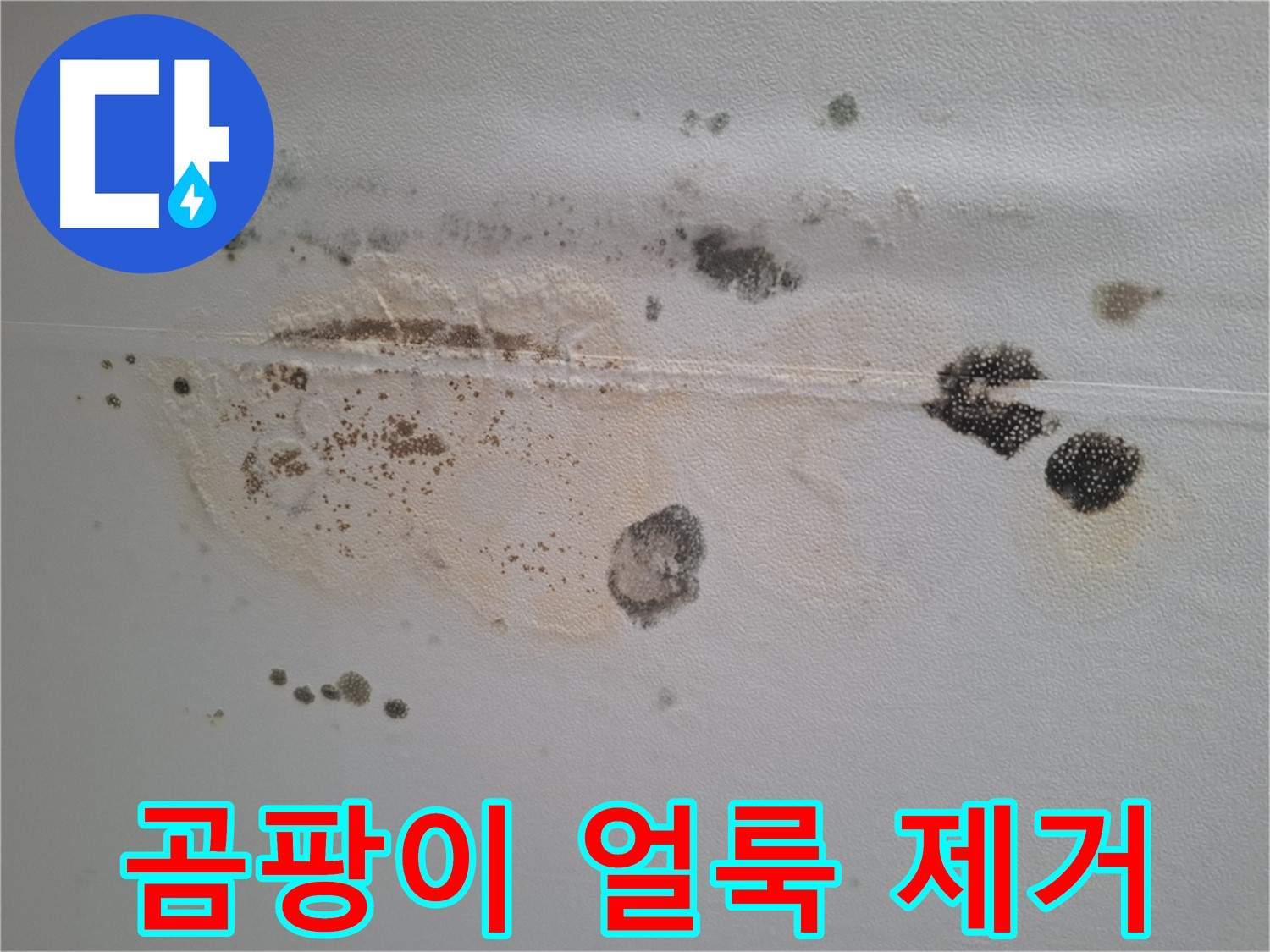 성남시 분당구 삼평동 곰팡이 누수 - 곰팡이 얼룩, 완벽하게 제거해 드립니다