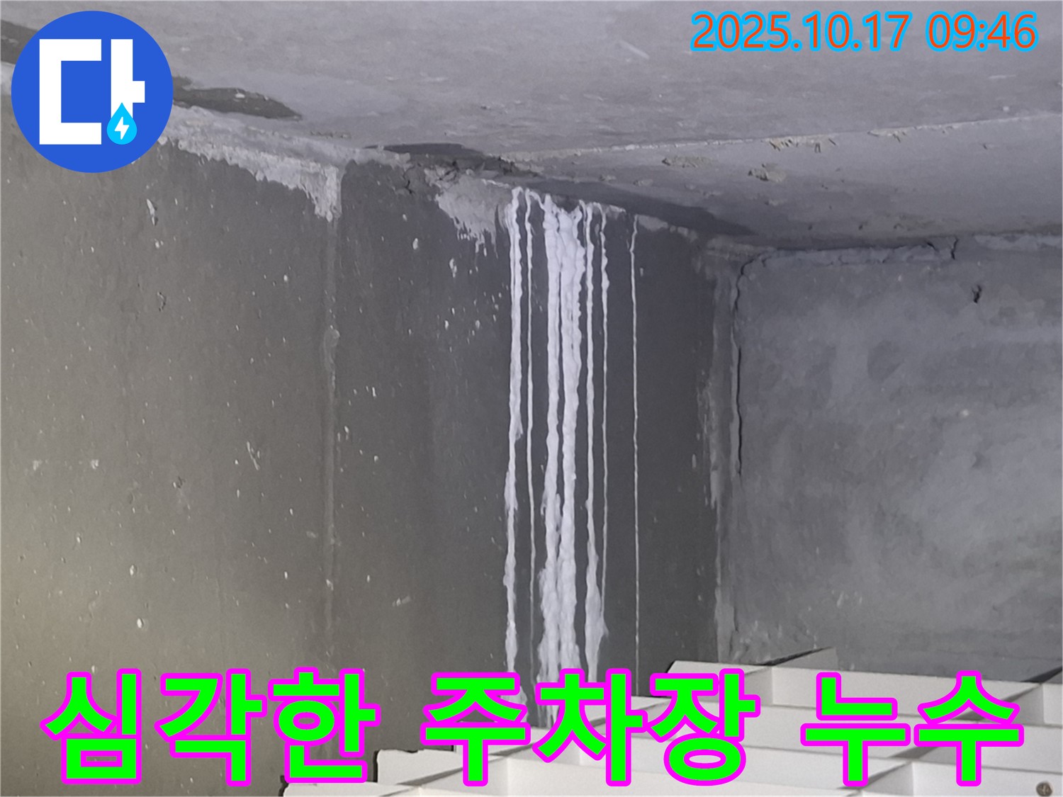 성남시 분당구 삼평동 봇들마을2단지 아파트에서 발견된 심각한 지하주차장 누수 - 천장을 따라 흐르는 석회 성분이 누수의 심각성을 보여줍니다.