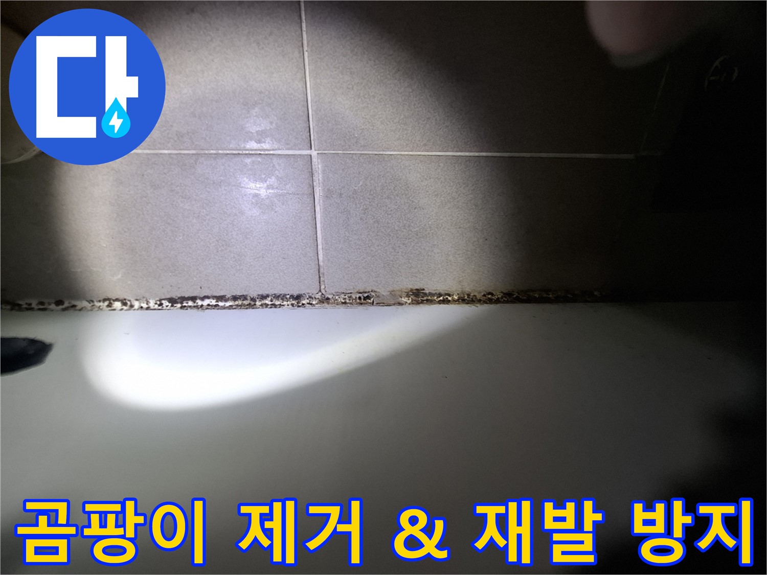 욕조 곰팡이 제거 - 재발 방지를 위한 완벽 솔루션 제공