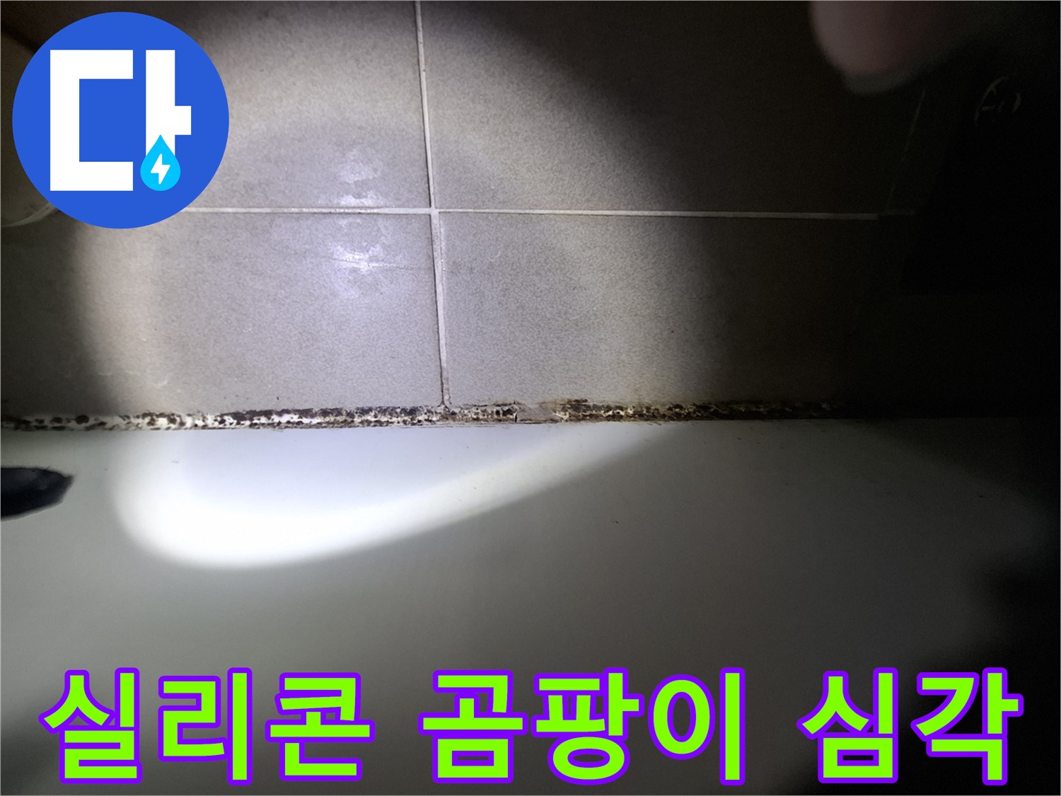 욕조 실리콘 곰팡이 - 심각한 상태 - 긴급 점검 필요