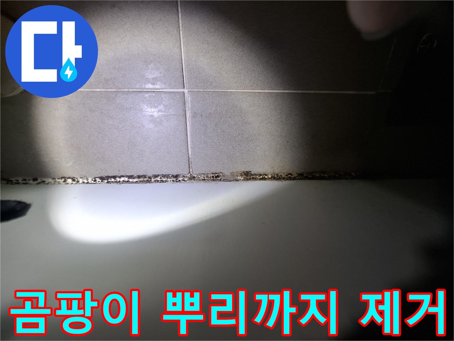 욕조 실리콘 곰팡이 제거 - 곰팡이 뿌리까지 완벽하게 제거