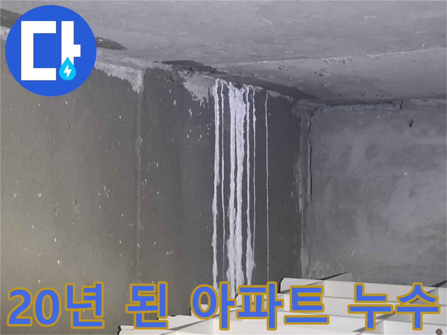 분당구 삼평동 20년 된 아파트 누수 흔적 - 노후 배관 문제 의심