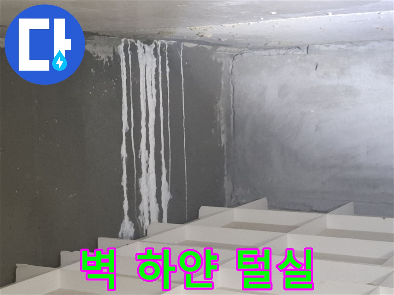 판교 봇들마을 누수 - 벽에 맺힌 하얀 털실, 누수 가능성 긴급 점검 및 해결