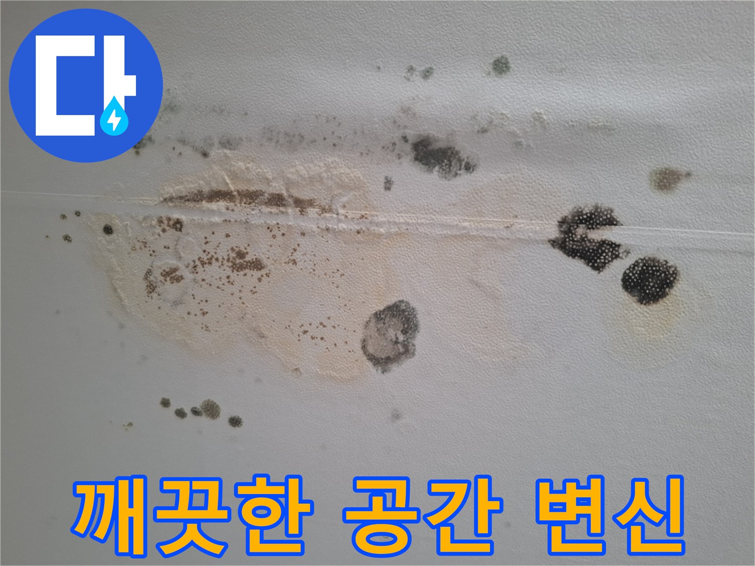 판교 봇들마을 누수 - 천장 곰팡이 제거 후 깨끗한 공간으로 변신 완료