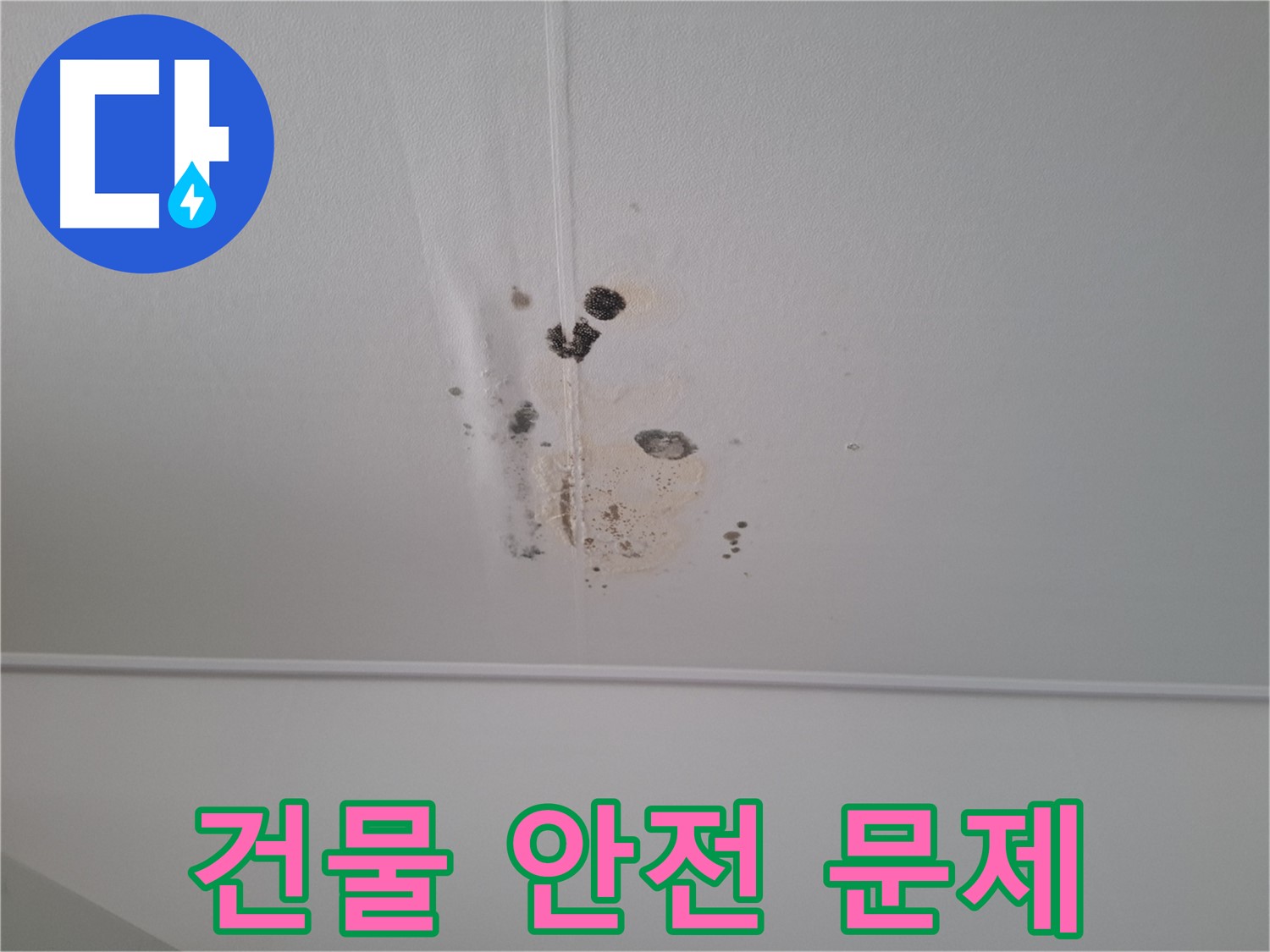 판교 봇들마을 봇들마을2단지 아파트 - 누수를 방치하면 건물 안전에 심각한 문제가 발생할 수 있습니다.