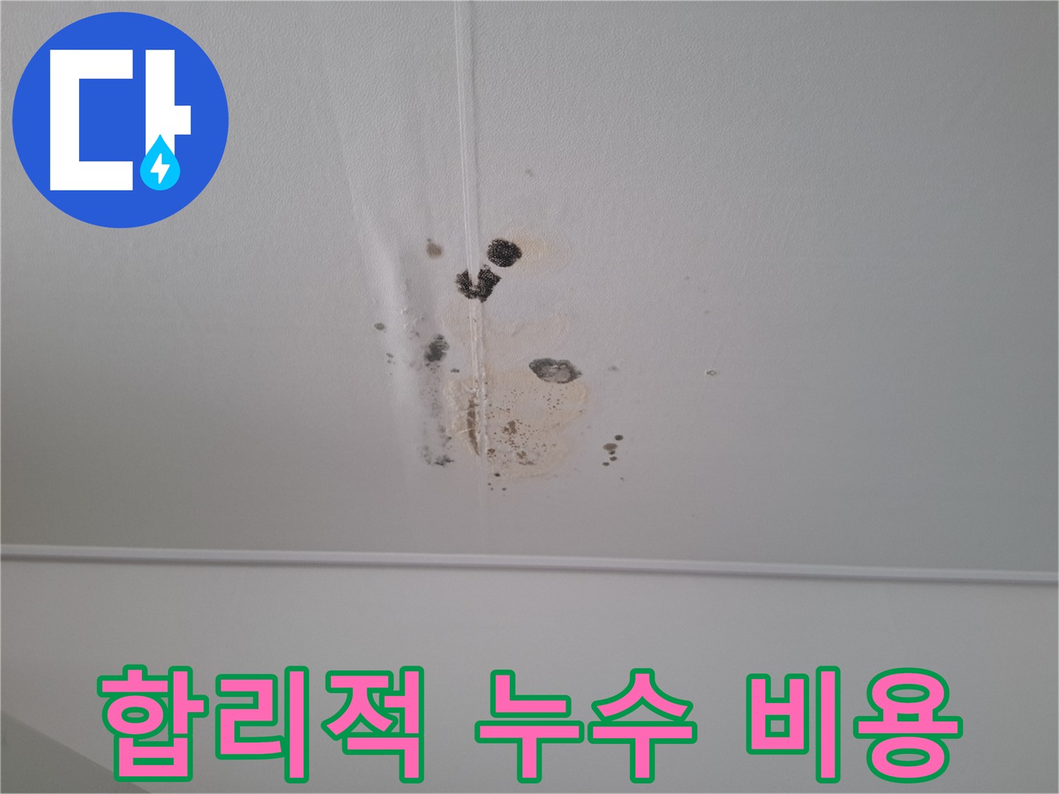 판교 봇들마을 아파트 누수 해결 - 합리적인 비용으로 누수 문제를 완벽하게 해결해 드립니다.